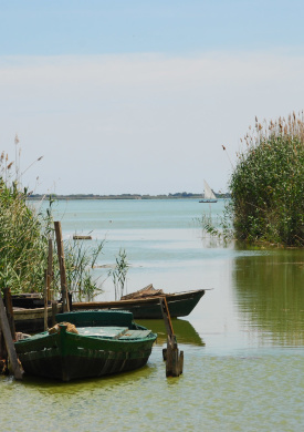 1. PN ALBUFERA_habitat_albufera. (6).jpg