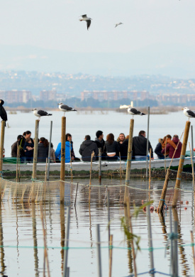 3.PN ALBUFERA_paseos en barca.jpg