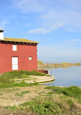 3.PN ALBUFERA_ruta 2_Ayuntamiento Sollana.jpg