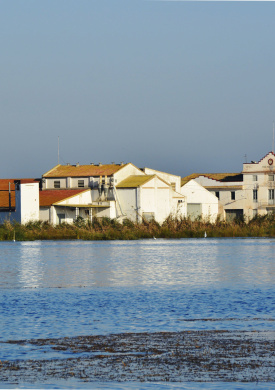 5. PATRIMONIO CULTURAL-PAISAJES (12).jpg