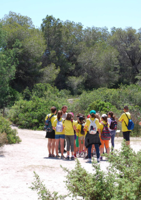 6. VISITANTES-ACTIVIDADES (7).jpg