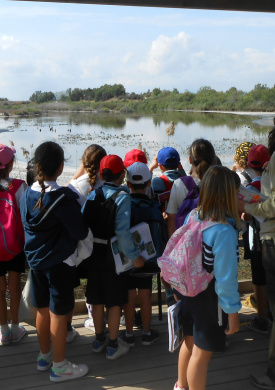 6. VISITANTES-ACTIVIDADES (12).jpg