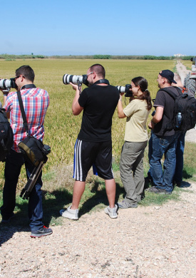 6. VISITANTES-ACTIVIDADES (21).jpg