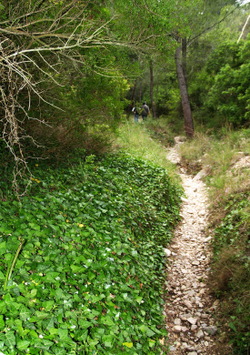 Ruta_FontdelaParra.JPG