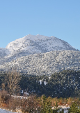 DSC_0016.JPG