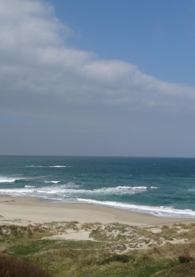 Sisalde - Costa de Arteixo