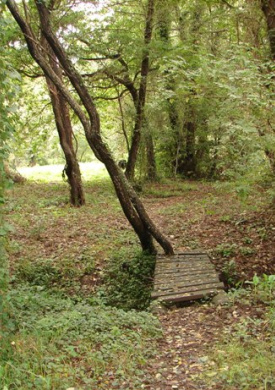 86.JPG