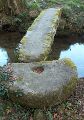 62.jpg