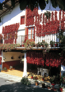 Urdaibai