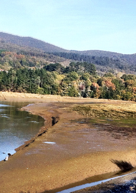 Urdaibai