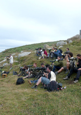 05.jpg