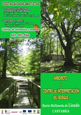 Arboreto de Liendo (1)
