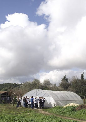 campo-buenavista01.jpg