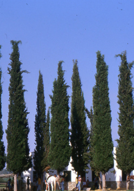 equipo-de-grabacion019.jpg