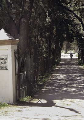 Finca Buenavista