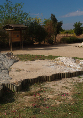 Parque Periurbano de Polvoranca (0)