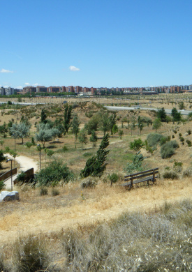 Parque Forestal Periurbano Bosquesur 