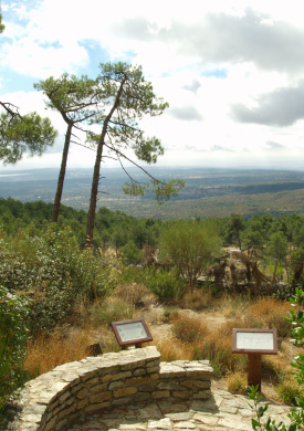 Arboreto Luis Ceballos (0)