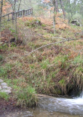Arboreto Luis Ceballos (0)
