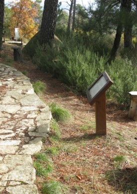 Arboreto Luis Ceballos (0)