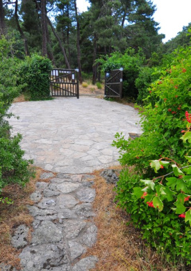 Arboreto Luis Ceballos (0)
