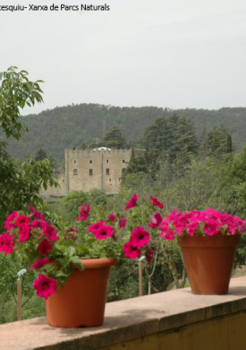 Parque del Castell de Montesquiu (0)