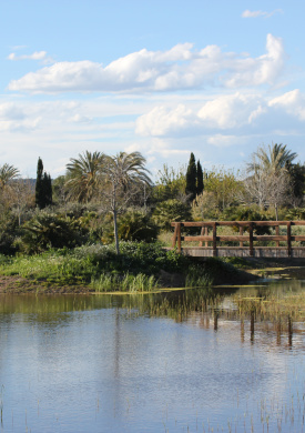 Jardín de los Paisajes Mediterráneos (0)