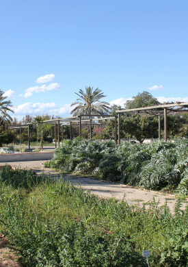 Huerto Histórico de la Comunitat Valenciana