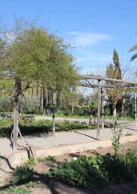 Huerto historico Comunitat Valenciana (0)