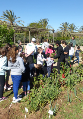 Huerto historico Comunitat Valenciana (0)