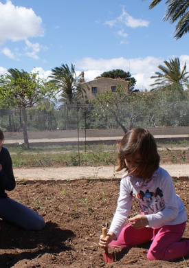 Huerto Histórico de la Comunitat Valenciana (0)