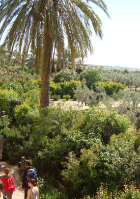 Jardín de los Paisajes Mediterráneos (0)