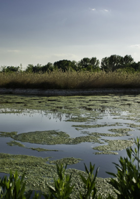 Soto del Henares (0)
