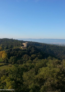 Espacio Natural de Les Guilleries-Savassona (0)