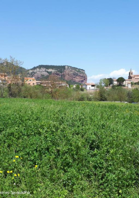 Espacio Natural de Les Guilleries-Savassona (0)