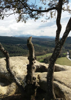 Espacio Natural de Les Guilleries-Savassona (0)