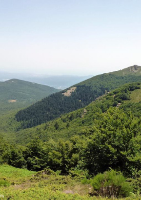 Montseny (0)