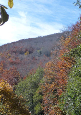 Montseny (0)
