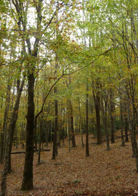 Montseny (0)