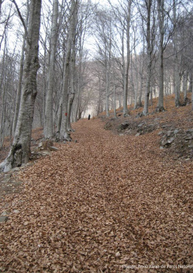 Montseny (0)