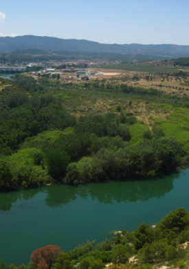 Reserves de Sebes (0)