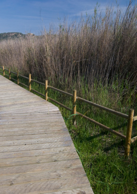 Reserves de Sebes