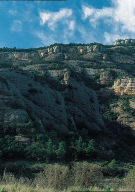 Parc Natural Sant Llorenç del Munt i l'Obac (0)