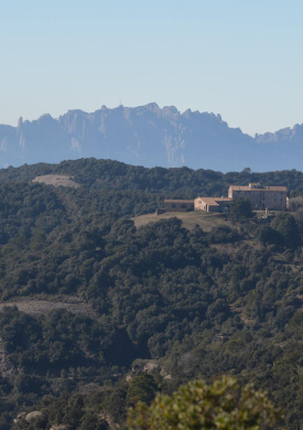 Parc Natural Sant Llorenç del Munt i l'Obac (0)