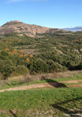 Parc Natural Sant Llorenç del Munt i l'Obac (0)