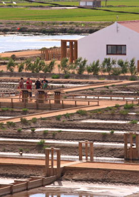MonNatura Delta (0)