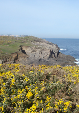 Costa de Dexo (5)