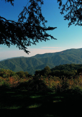 Parc del Montnegre i el Corredor (0)