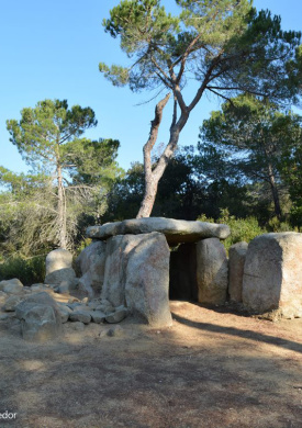 Parque de El Montnegre i el Corredor (0)