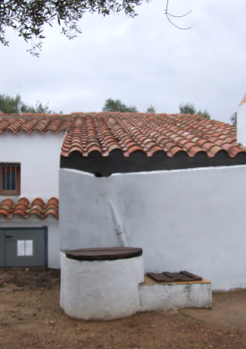 Oliveres Mil·lenàries de l'Arion (0)